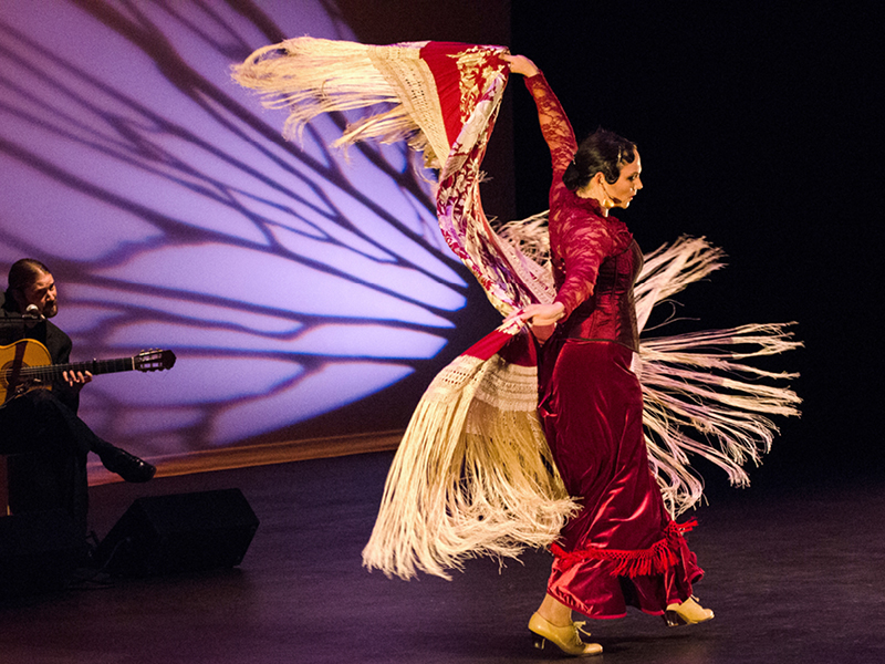 Flamenco Dance Performance