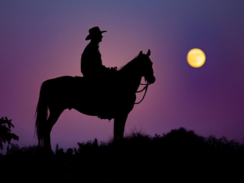 Riders of the Purple Sage