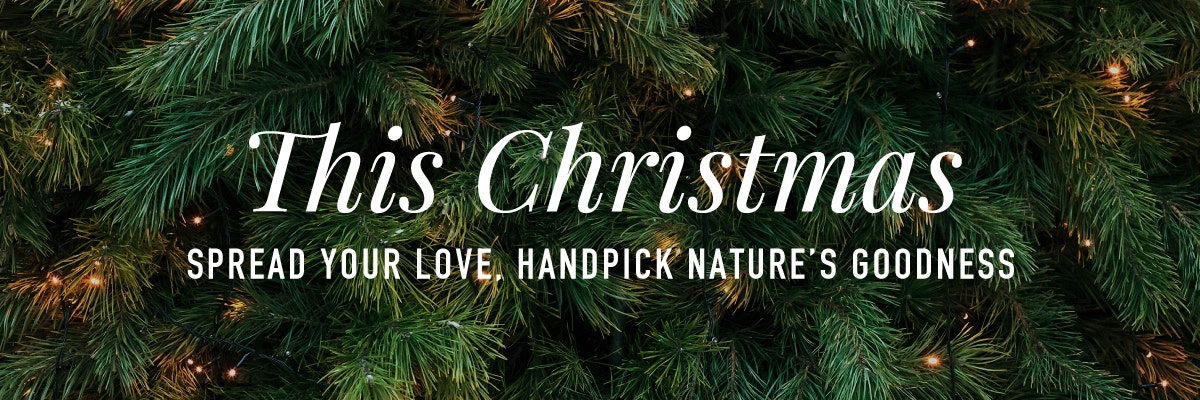 Organic Skincare Christmas Gifts for Everyone